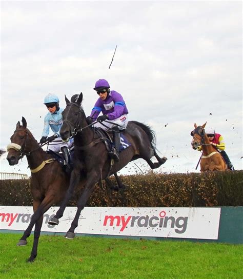 gg com tips|Free Horse Racing Lucky 15 Tips for Today & Tomorrow .